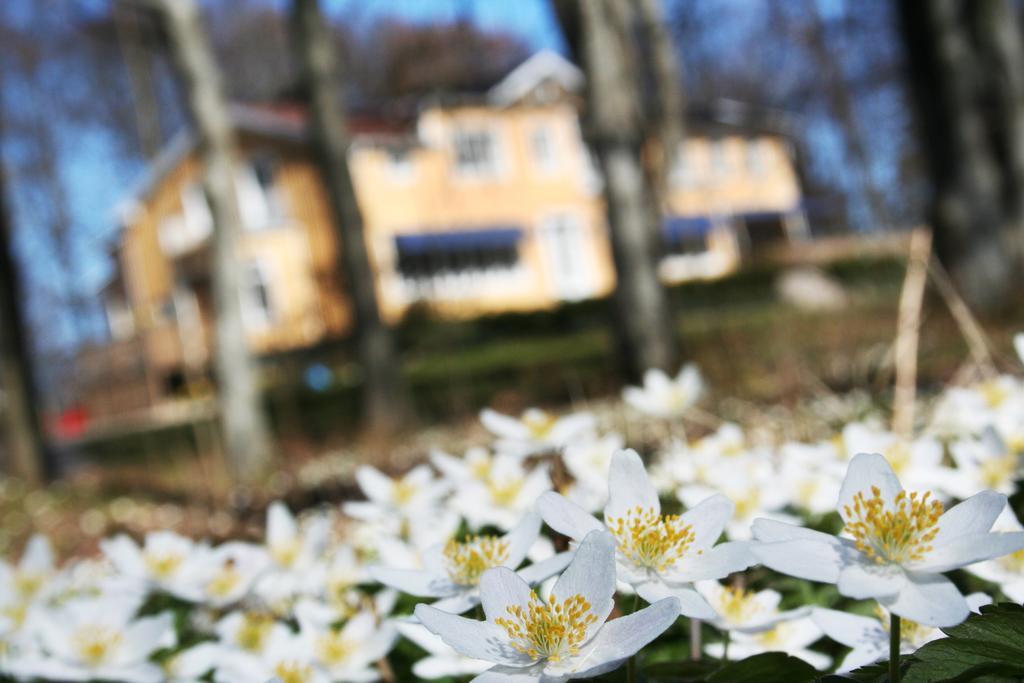 Toftastrand Hotell ベクショー エクステリア 写真